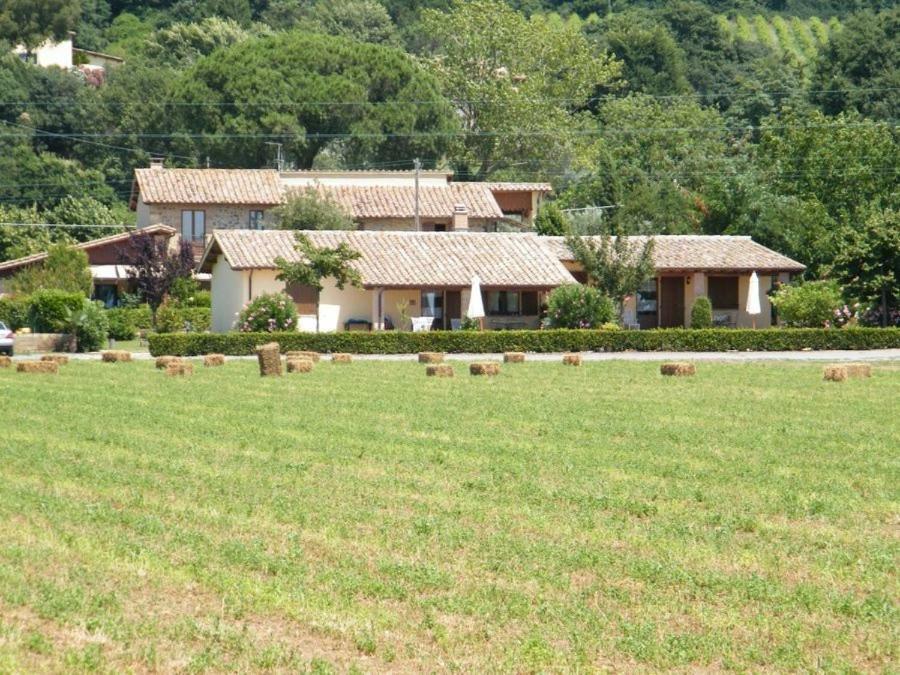 Agriturismo Casale Del Contadino Bolsena Exterior foto