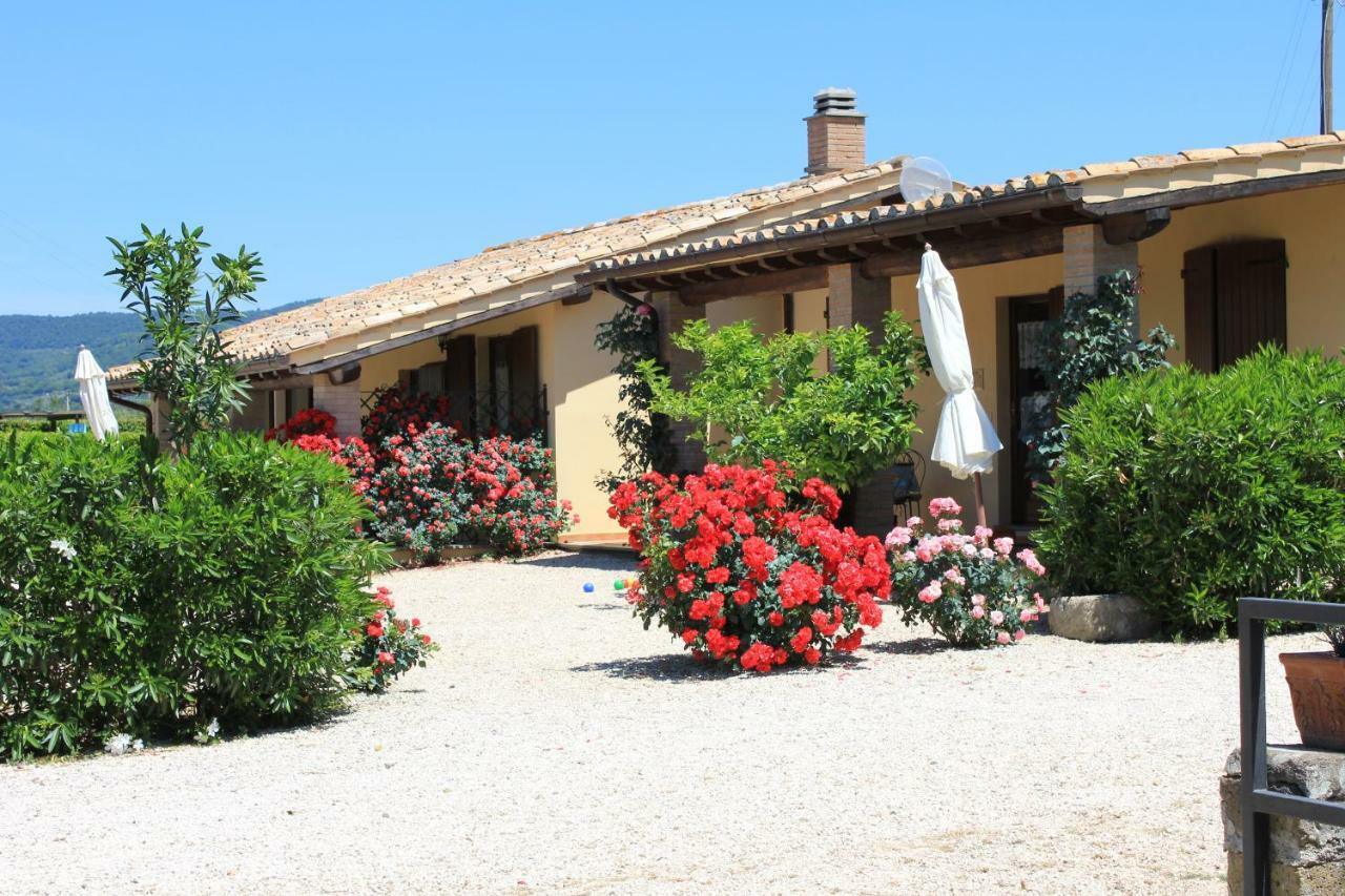 Agriturismo Casale Del Contadino Bolsena Exterior foto